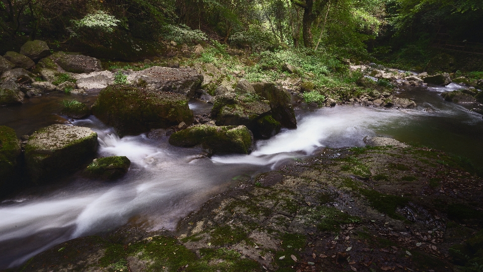 Paisaje agua piedra recursos hídricos
