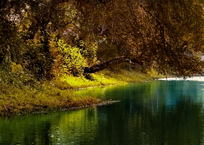 Landscape nature trees green Photo