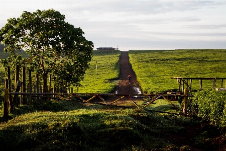 Sunset natural landscape green nature Photo