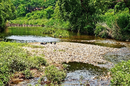 River brook body of water natural landscape Photo