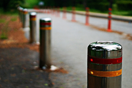 Road line cylinder tree Photo