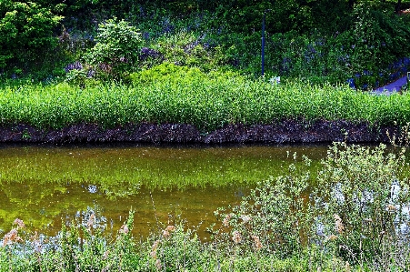 Wild korea river brook nature Photo