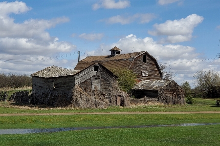 Rowley alberta barn rural area Photo