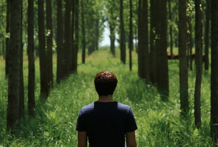 自然の中の人々
 木 森 自然 写真