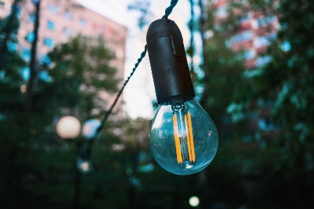 Light bulb blue green turquoise Photo