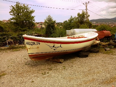 Foto Barco a remo
 verdura natureza transportede água
