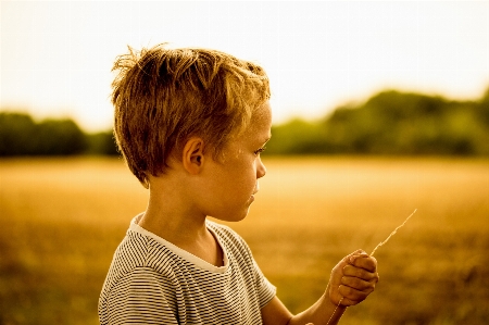 People in nature child backlighting yellow Photo