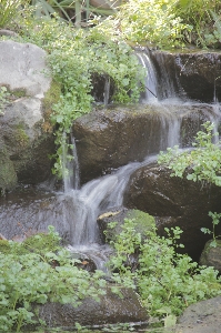 Water resources body of waterfall natural landscape Photo