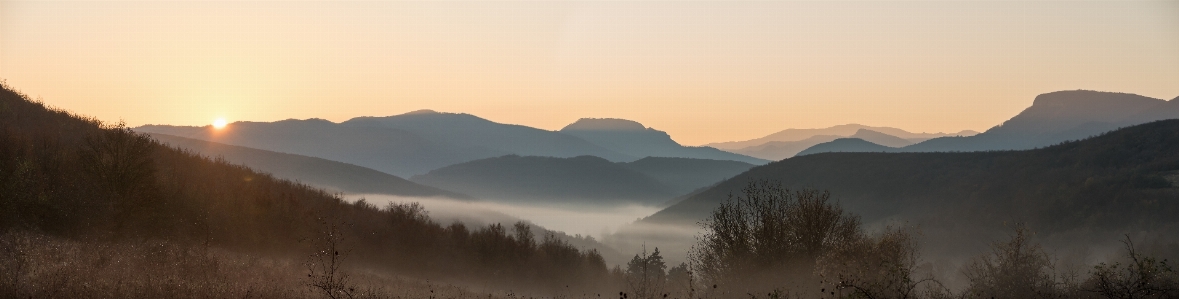 Morning fog sunrise misty Photo