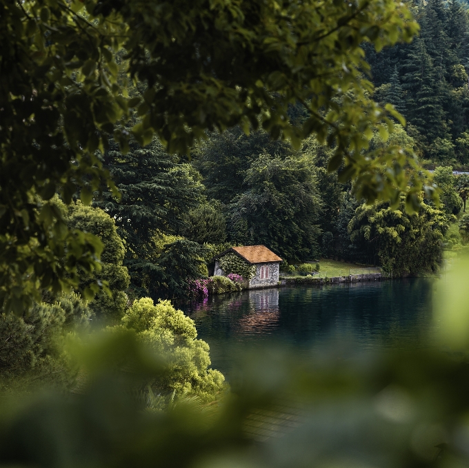 自然 自然の風景
 緑 水