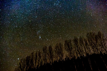 Foto Notte stelle alberi cielo