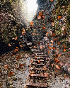 地質現象
 rock 森 写真