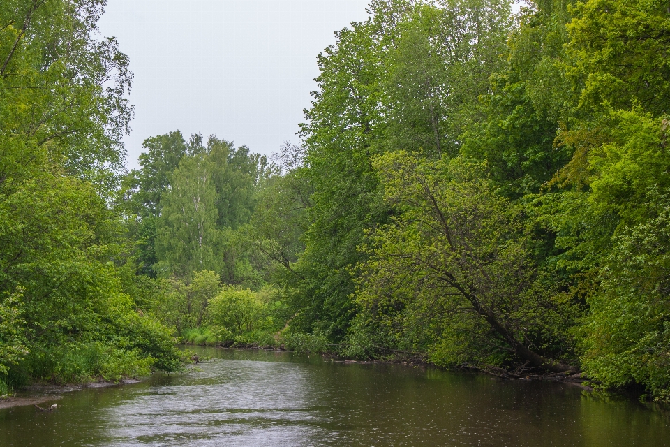 Rzeka zbiornik wodny
 naturalny krajobraz
 natura