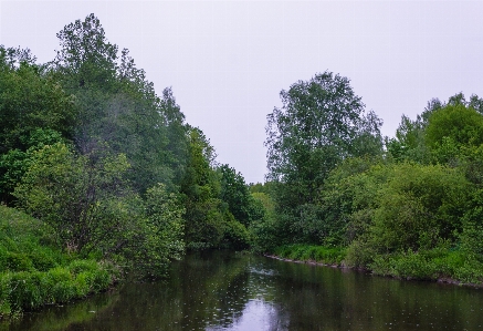 Foto Fiume paesaggio naturale
 corpo d'acqua
 natura