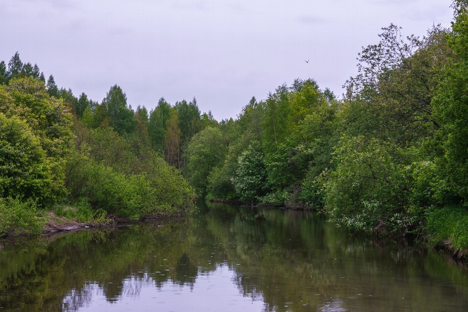 River body of water natural landscape nature