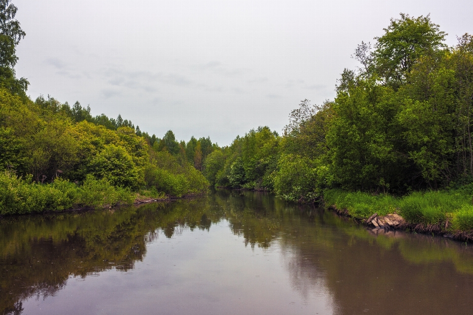 River body of water natural landscape nature