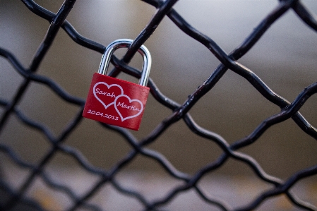 Lock padlock chain link fencing wire Photo