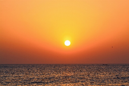 Korea ocean sea sunrise Photo