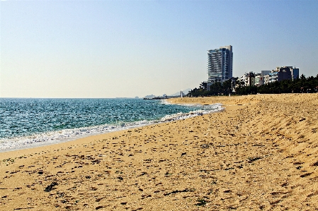 Foto Corea mare dell'est
 spiaggia di kyungpo
 onda