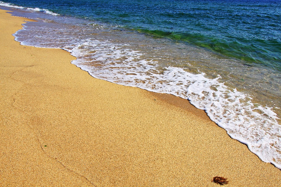 Corea mar del este
 playa de kyungpo
 ola