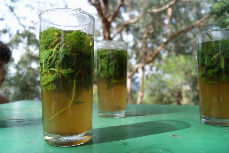 Tea tanger tangier morocco Photo