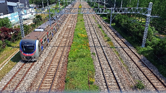 Korea train transport track Photo