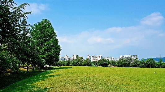 Korea green field nature Photo