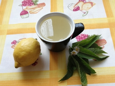 Foto Come il tè
 foglie di menta
 limone te al limone
