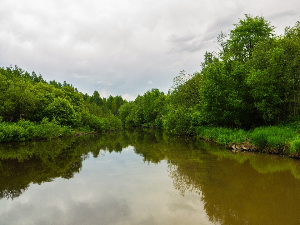 Rivière okhta
 plan d'eau
 nature