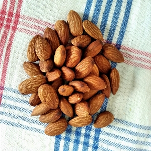 Almond almonds nuts nut Photo