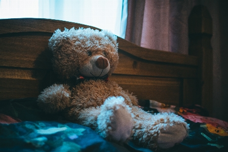 Teddy bear stuffed toy plush Photo