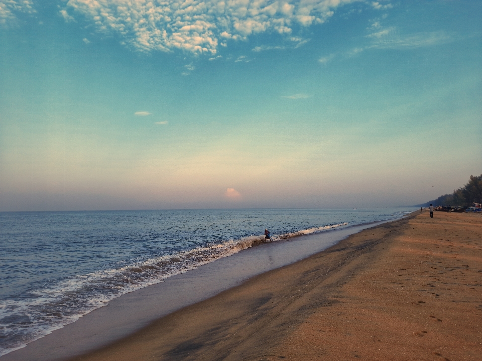 Beach sea sky body of water