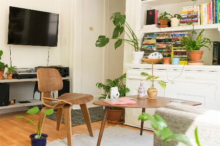 Houseplant room green furniture Photo