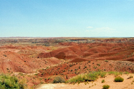 Desert painted mars arizona Photo