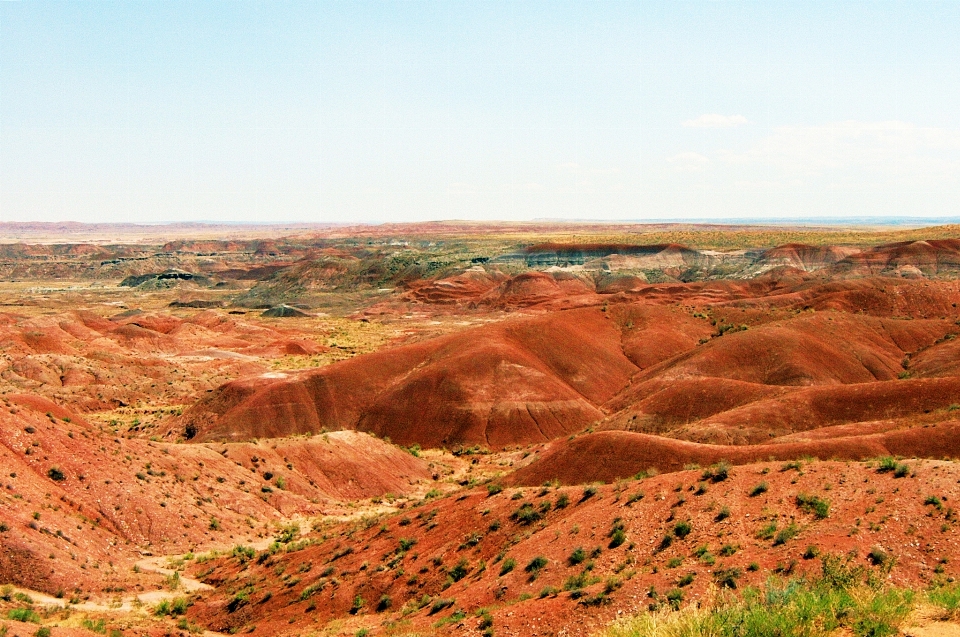 Desert painted mars arizona