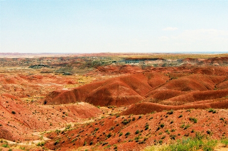 Desert painted mars arizona Photo