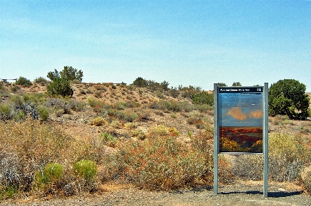 Desert painted arizona natural landscape Photo