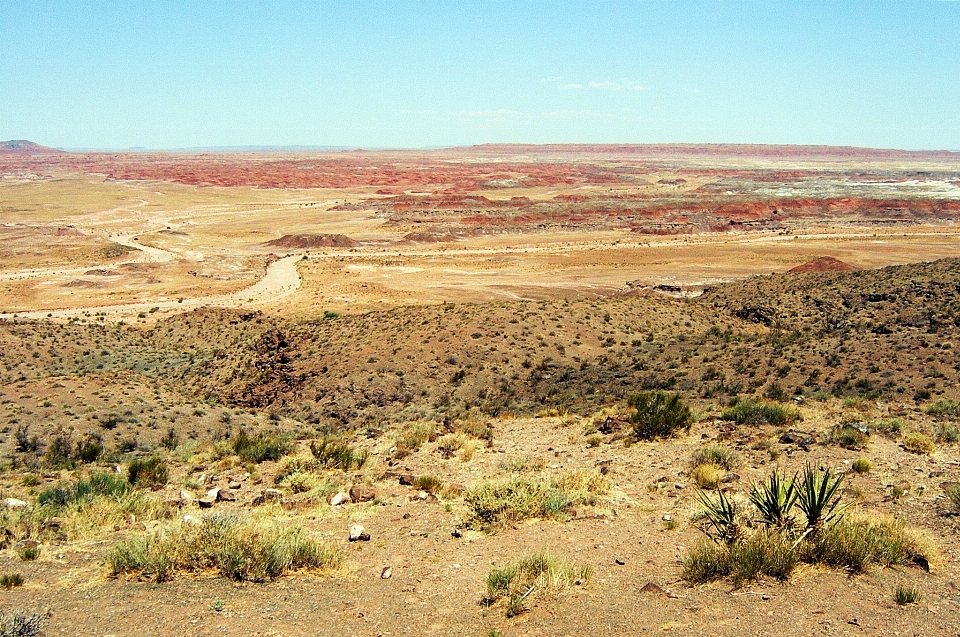 Desert painted arizona mars