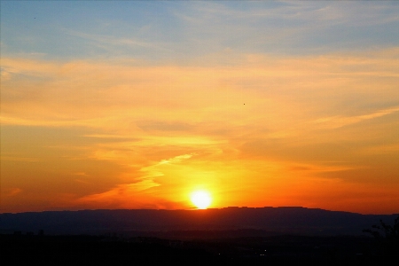 Nature plant sunset evening Photo