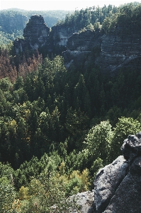 山岳地形
 植生 荒野
 山 写真