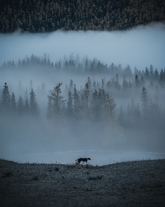 Atmospheric phenomenon sky mist water Photo