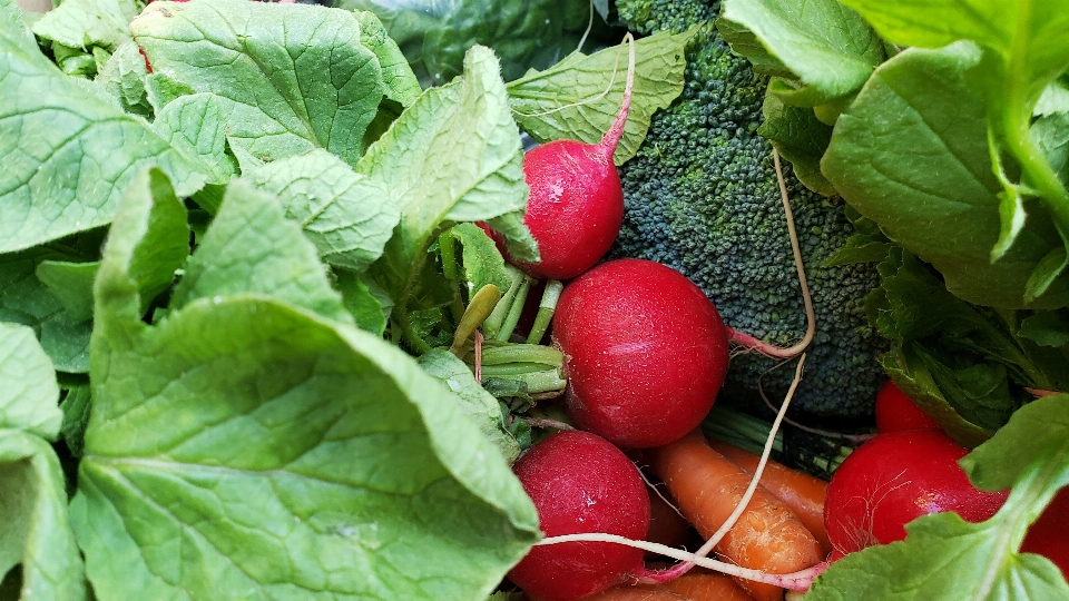 Radishes farmers market natural foods radish