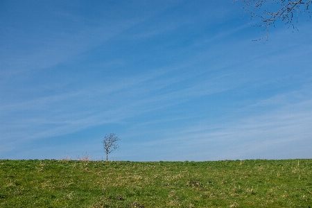 Sky grassland blue natural landscape Photo