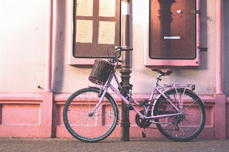 Foto Bicicleta rueda de bicicleta
 manillar vehículo