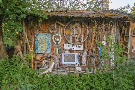 House shack wall tree Photo