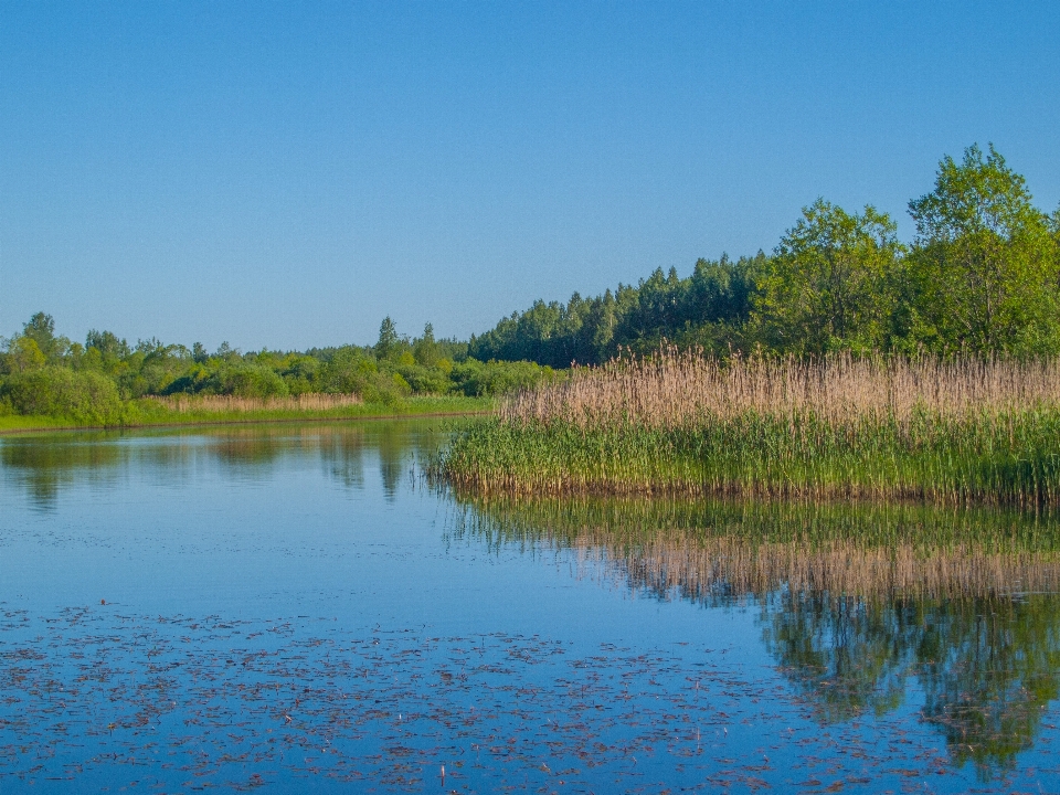 Fiume paesaggio naturale
 corpo d'acqua
 riflessione