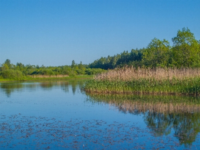 Foto Fiume paesaggio naturale
 corpo d'acqua
 riflessione