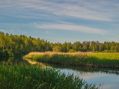 Foto Fiume paesaggio naturale
 natura ambiente