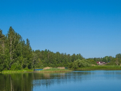 Foto Fiume paesaggio naturale
 corpo d'acqua
 natura