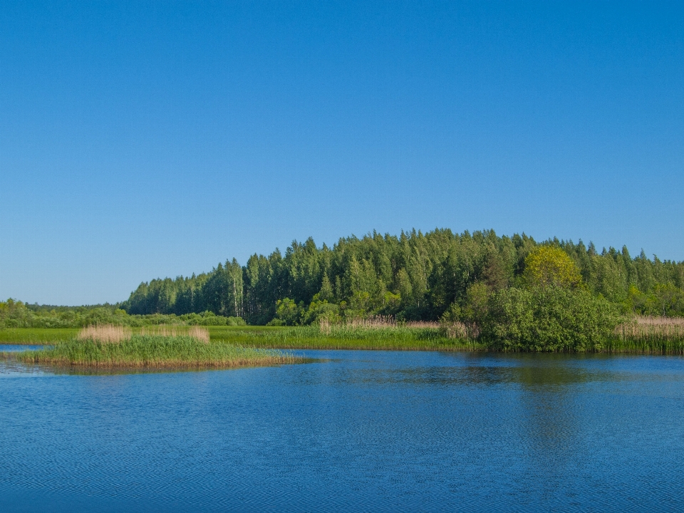 Rzeka zbiornik wodny
 naturalny krajobraz
 zasoby wodne
